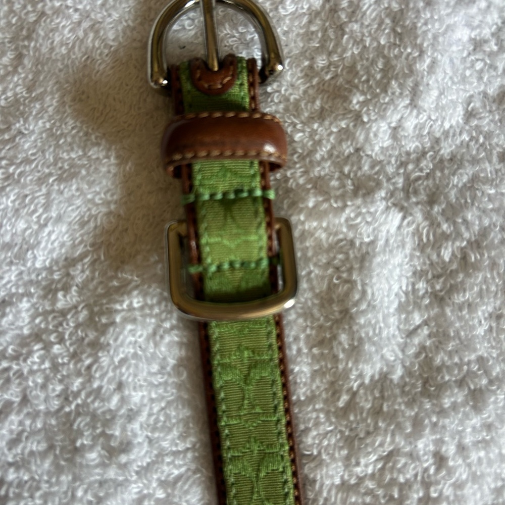 Genuine Coach Stylish Green and Brown Dog Collar - Picture 4 of 4